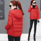 Long Sleeve Hooded Parkas Women's Jackets